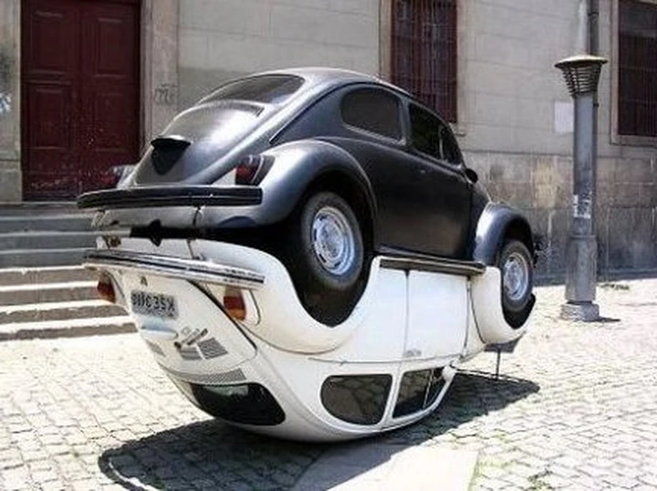 Yin e Yang con due Maggioloni