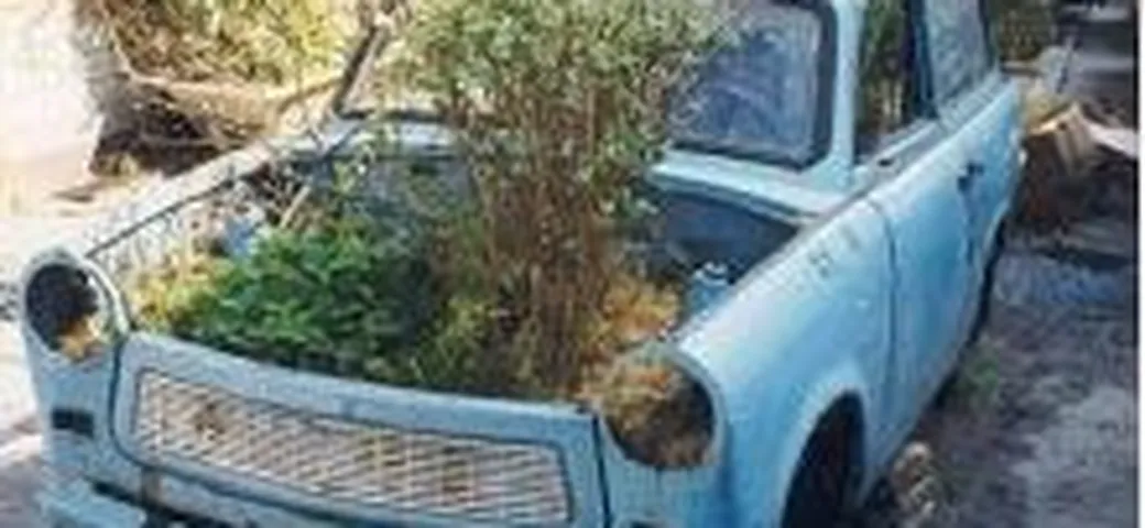 Le auto più ecologiche