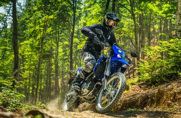 ingrandisci immagine