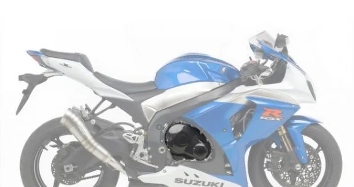 LeoVince Carbon Fiber