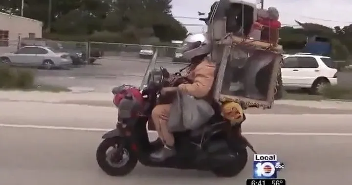 In scooter con 6 animali [video]