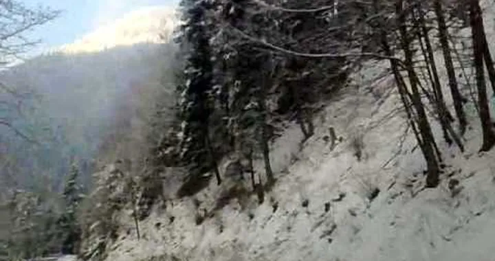 30012009091 Foresta innevate confine Austria Germania