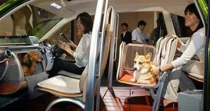 Honda presenta la macchina pensata per i cani