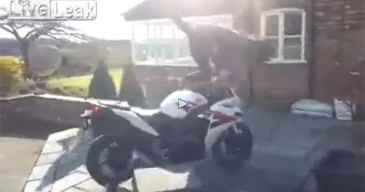 Motociclista mette la prima e... spicca il volo [video]
