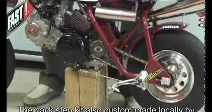 The Fastest Monkey In The World ?