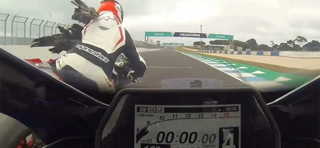 Phillip Island: un gabbiano in pista causa una caduta [Video]
