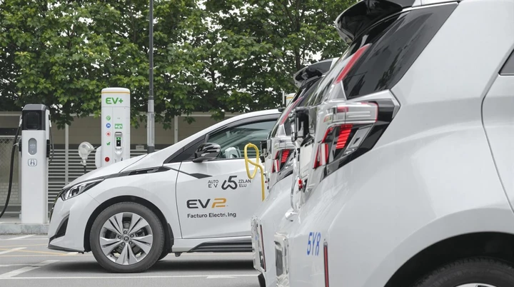 Crollo delle vendite di auto elettriche in Giappone nel 2024