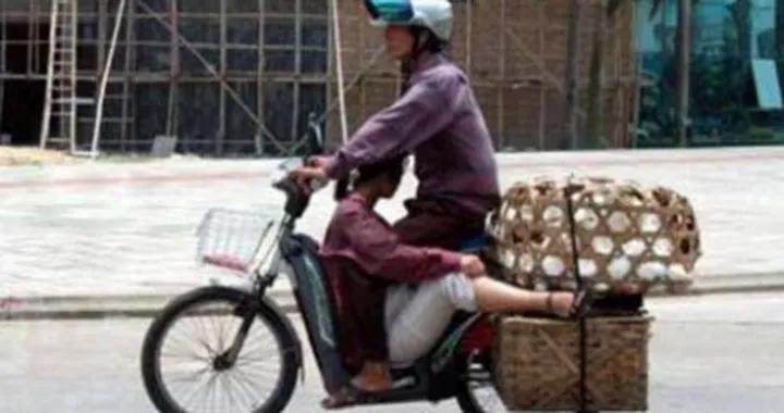 Foto del giorno: il kamascooter