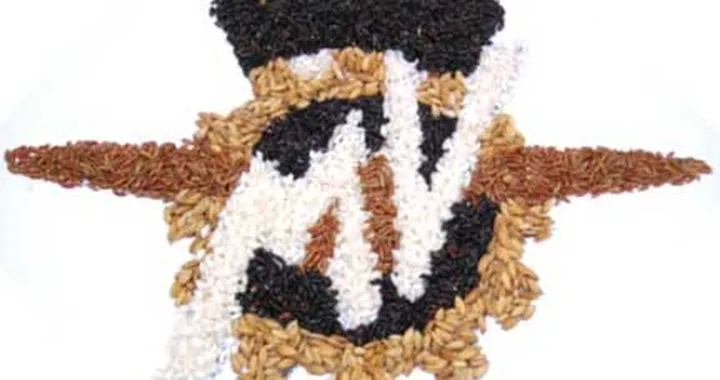 Raduno MV tra le Grange e il Monferrato