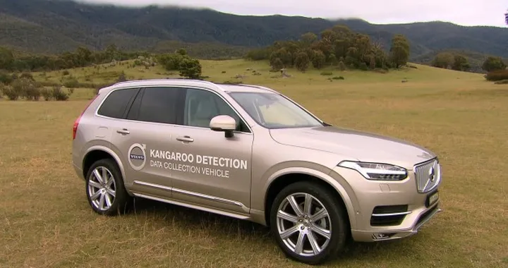 Volvo: presto il sistema di sicurezza contro i canguri