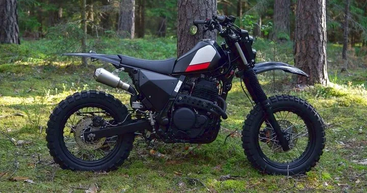 Honda NX650 Dominator by Differs