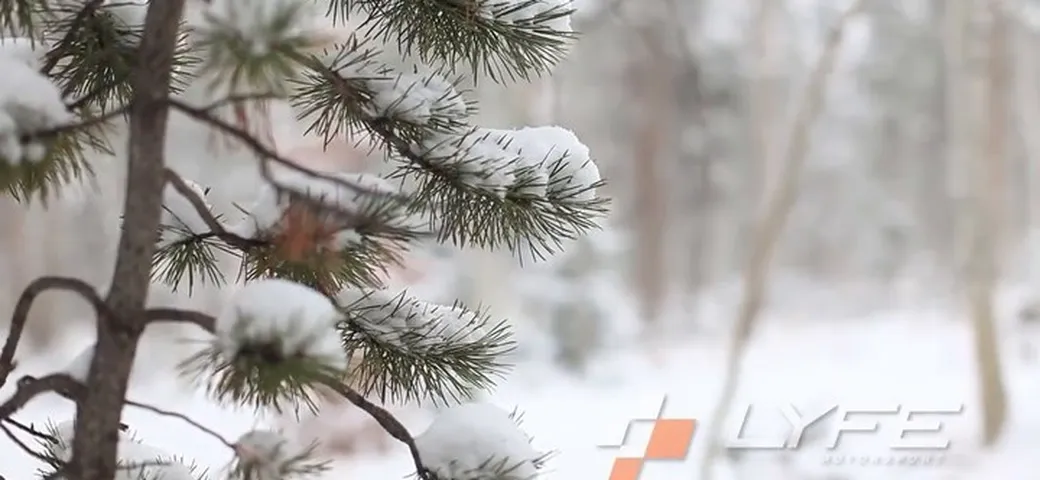 Audi R8: drift sulla neve con l'albero di Natale