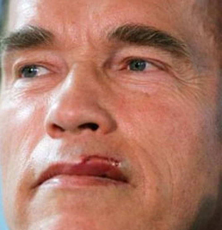 Terminator a scuola guida