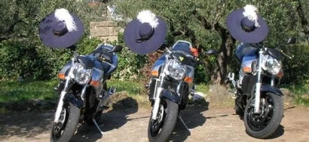 Foto del giorno: i tre moschettieri