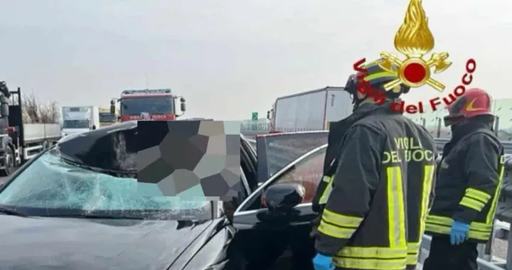 Incidente sulla Superstrada Pedemontana: cervo sfonda parabrezza