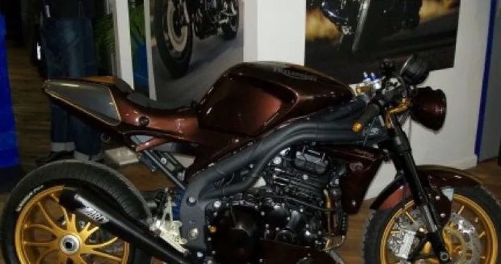 Special Triumph Speed Triple Brown'Racer