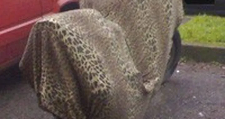 Rimessaggio insolito