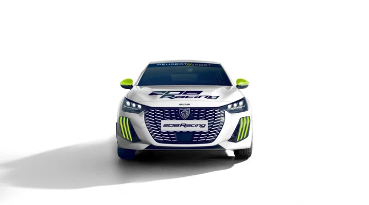 Peugeot Racing motore