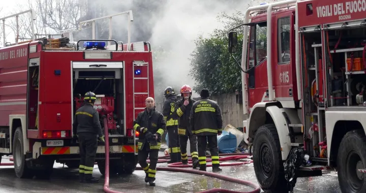 Camion prende fuoco in autostrada, 92.000 pulcini perdono la vita