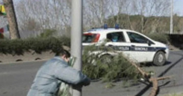 Destino crudele per un centauro romano, muore colpito da un ramo caduto per il forte vento