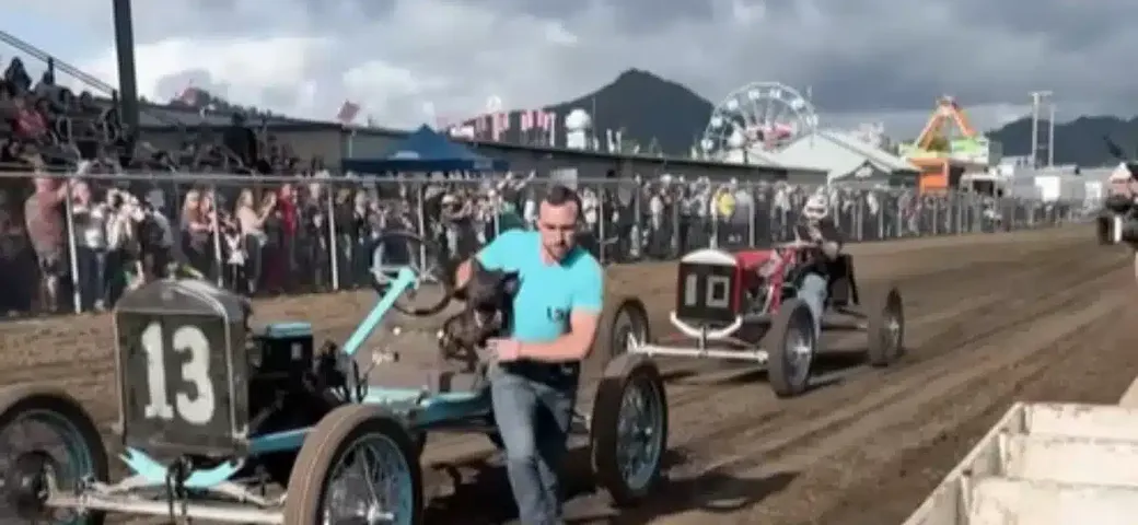 Pig-N-Ford Race: la folle corsa con Model T e maiali in Oregon