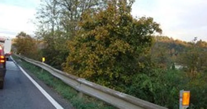 Io non voglio morire: fotopetizione contro i guard-rail assassini