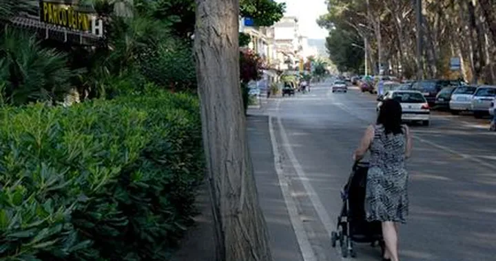 Foto del giorno: c'era prima l'albero o il marciapiede?