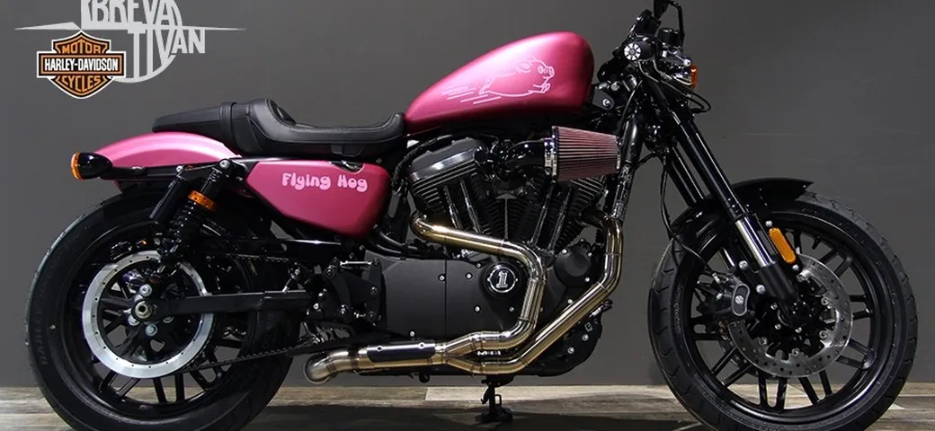 Harley-Davidson Sportster Roadster “Flying HOG” H-D Breva e Tivan