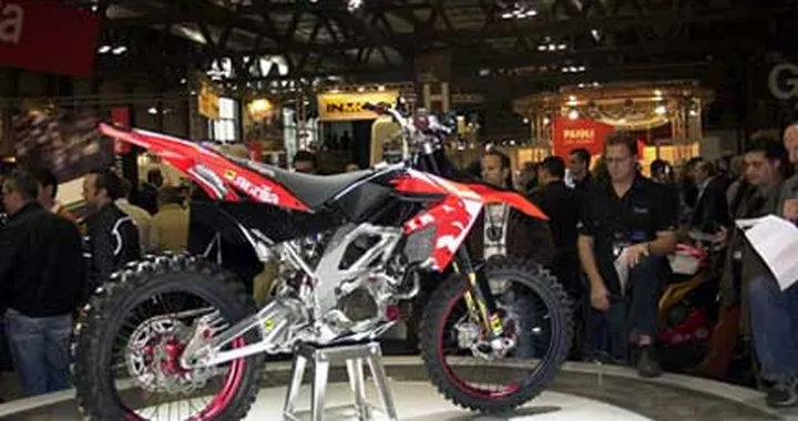 2007 Aprilia MXV 450