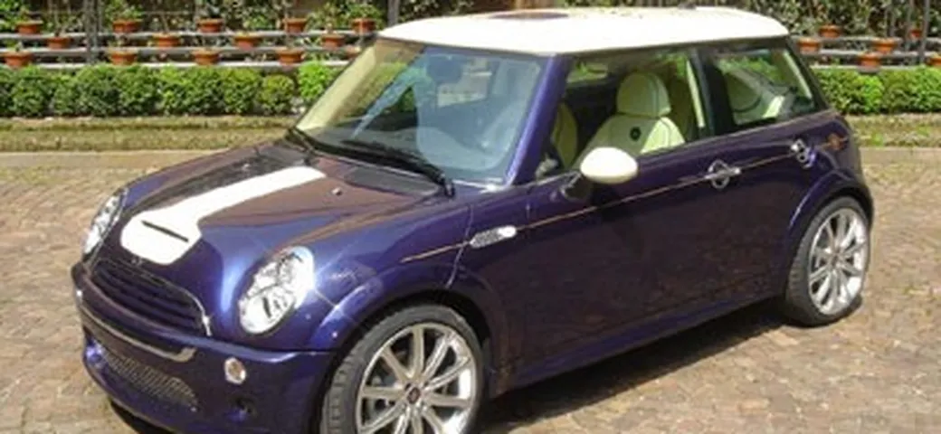 Mini Sassicaia