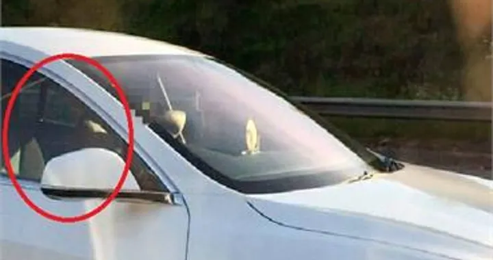 Lascia il volante della Tesla e si siede al posto del passeggero: patente ritirata [VIDEO]