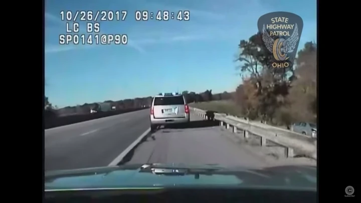 A 10 anni ruba l'auto e fugge a 160 orari inseguito dalla polizia [VIDEO]