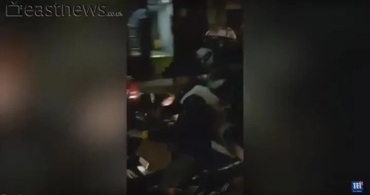 Vietnam, cane in scooter con il casco [Video]