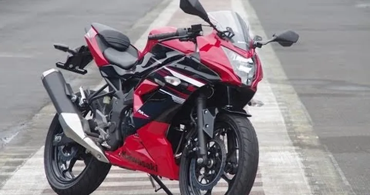 Sound Of Kawasaki Ninja RR Mono