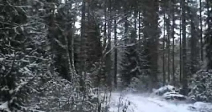 Dacia Duster: nuovo video sulla neve e aggiornamenti interni per il 2011