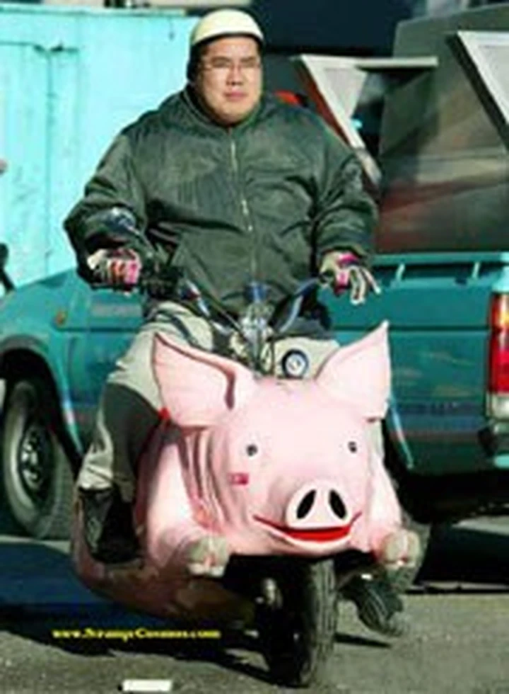 Motosimbiosi ?
