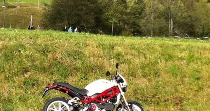Foto del giorno: Monster S4RS nella foresta nera