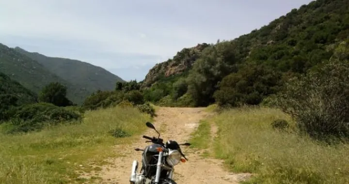 Foto del giorno: Ducati Monster