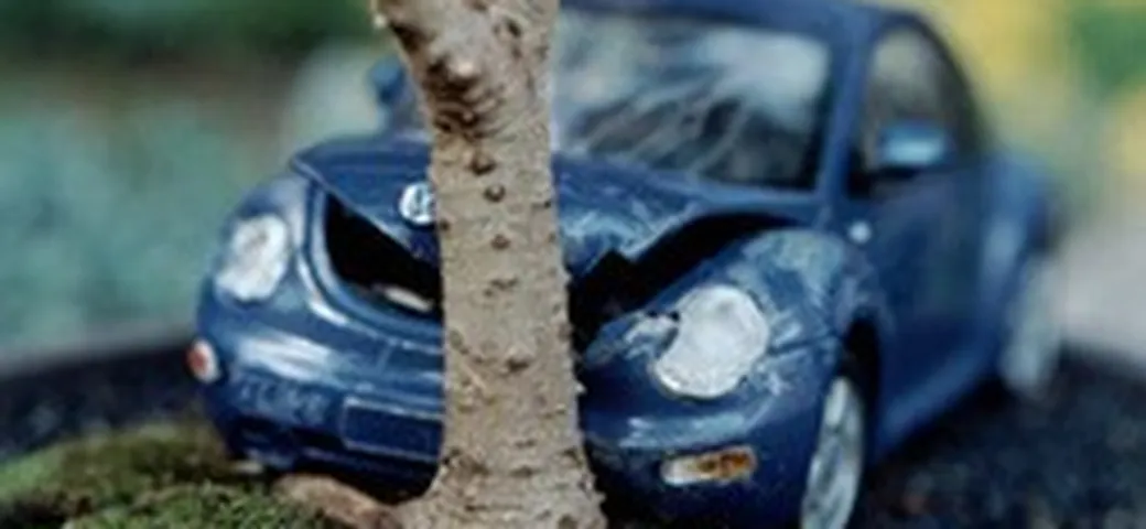 CrashBonsai