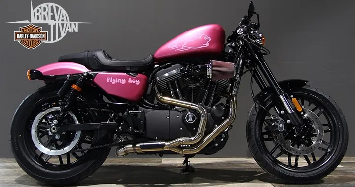 Harley-Davidson Sportster Roadster “Flying HOG” H-D Breva e Tivan