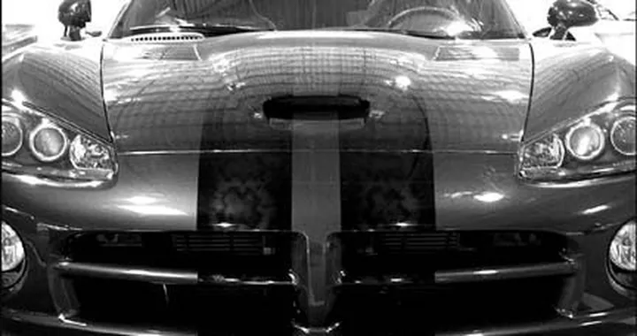 Prefix Dodge Viper Snakeskin Special Edition