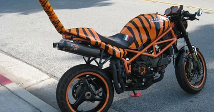 Foto del giorno: metti un tigre nel monster!