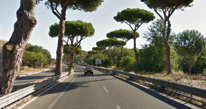 Motociclista ucciso da un albero a Roma: "Il pino non era pericolante"