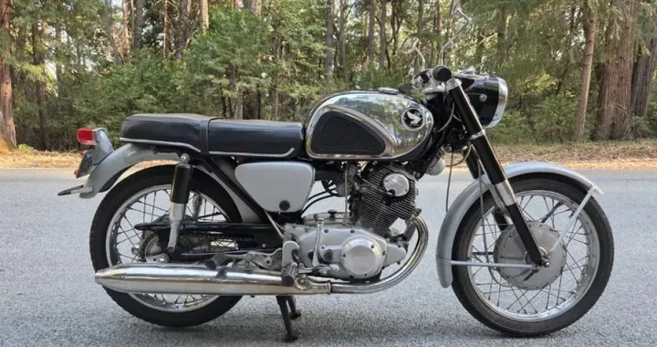 Honda CB77 Super Hawk: la sportiva del 1964 da 160 km/h a 3.500 dollari