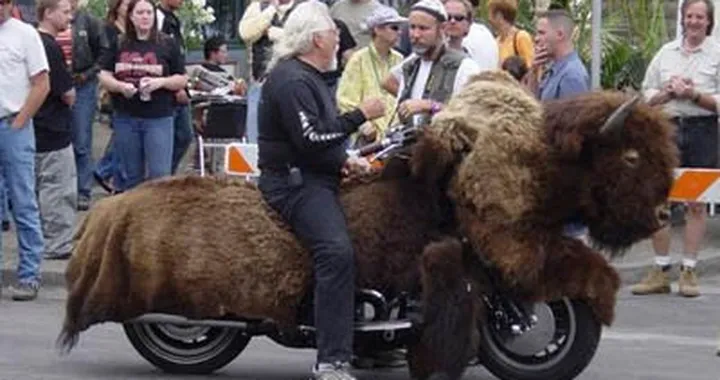 Buffalo Bike!