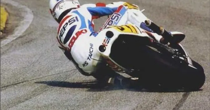 Foto del giorno: Schwantz in piega estrema