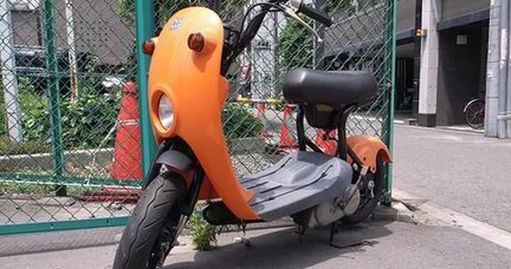 Foto del giorno: insetto o scooter?