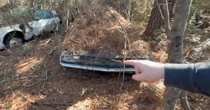 Come scoprire un tesoro, ritrovate 30 auto abbandonate da anni