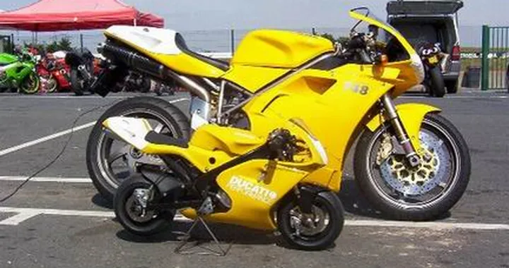 Foto del giorno: padre e figlio