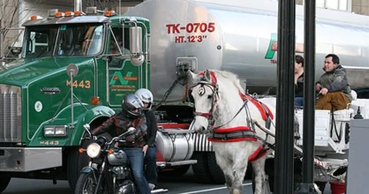 Foto del giorno: la benzina aumenta? Io vado a cavallo